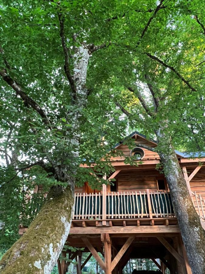 Charmante Cabane Dans Les Arbres Avec Jacuzzi Et Sauna Boismorand Exterior foto